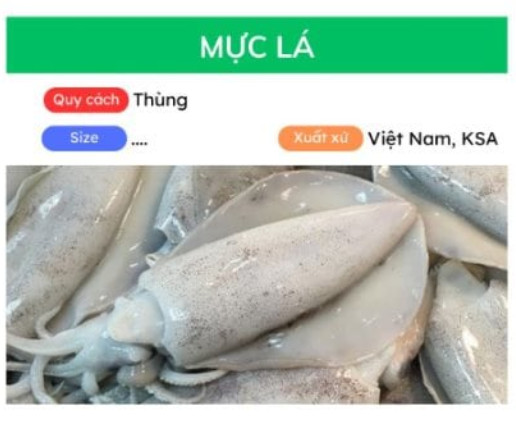Mực lá
