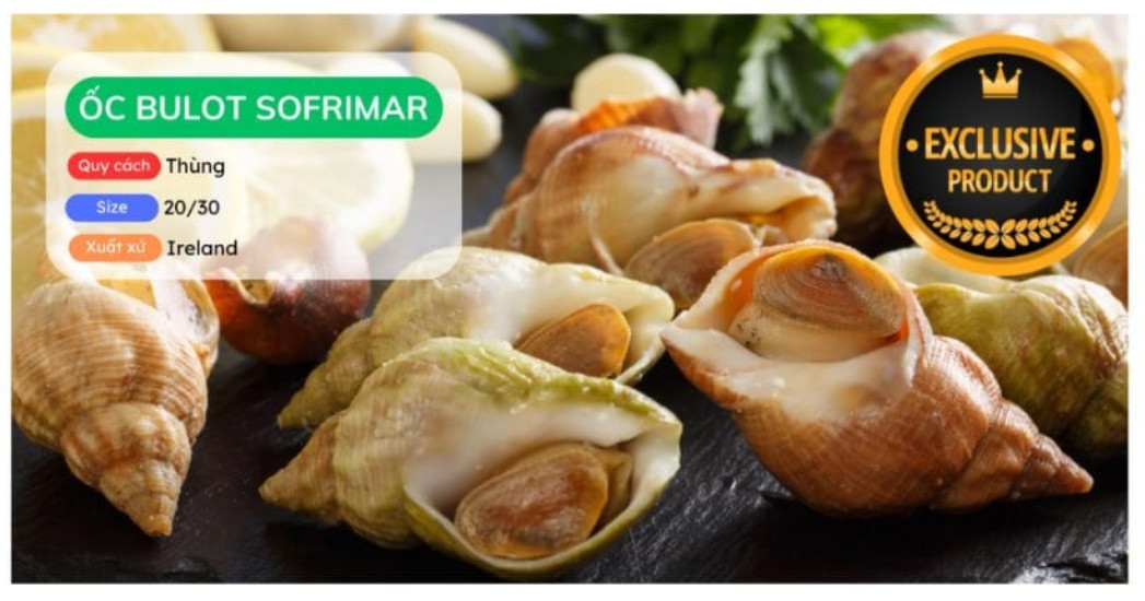 Ốc bulot ảnh to