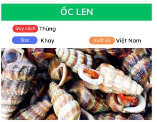Ốc len